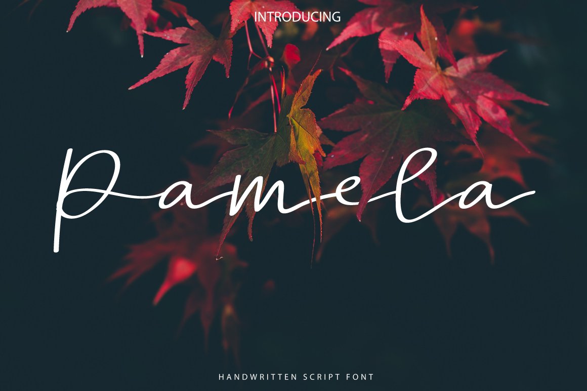 White calligraphy lettering "Pamela" on the background with leaves.