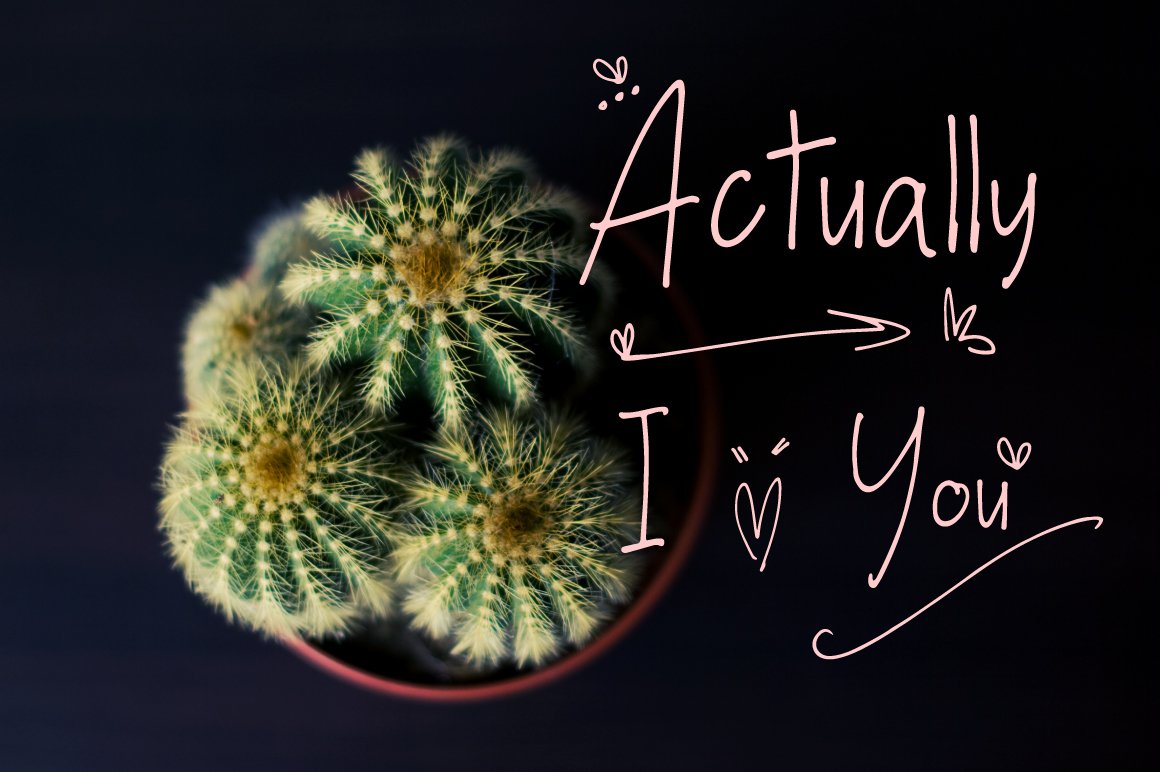 Picture of a cactus with white lettering "Actually I love you".