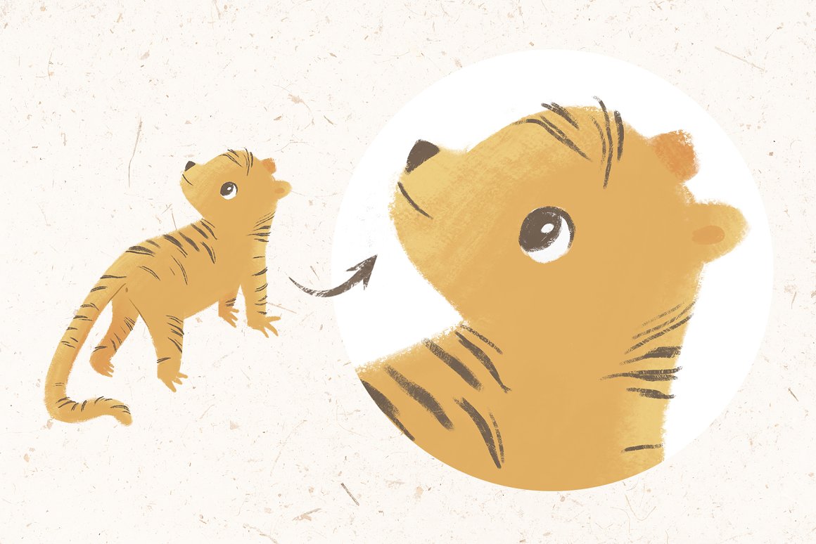 Illustration of a baby leopard and close-up on a gray background.