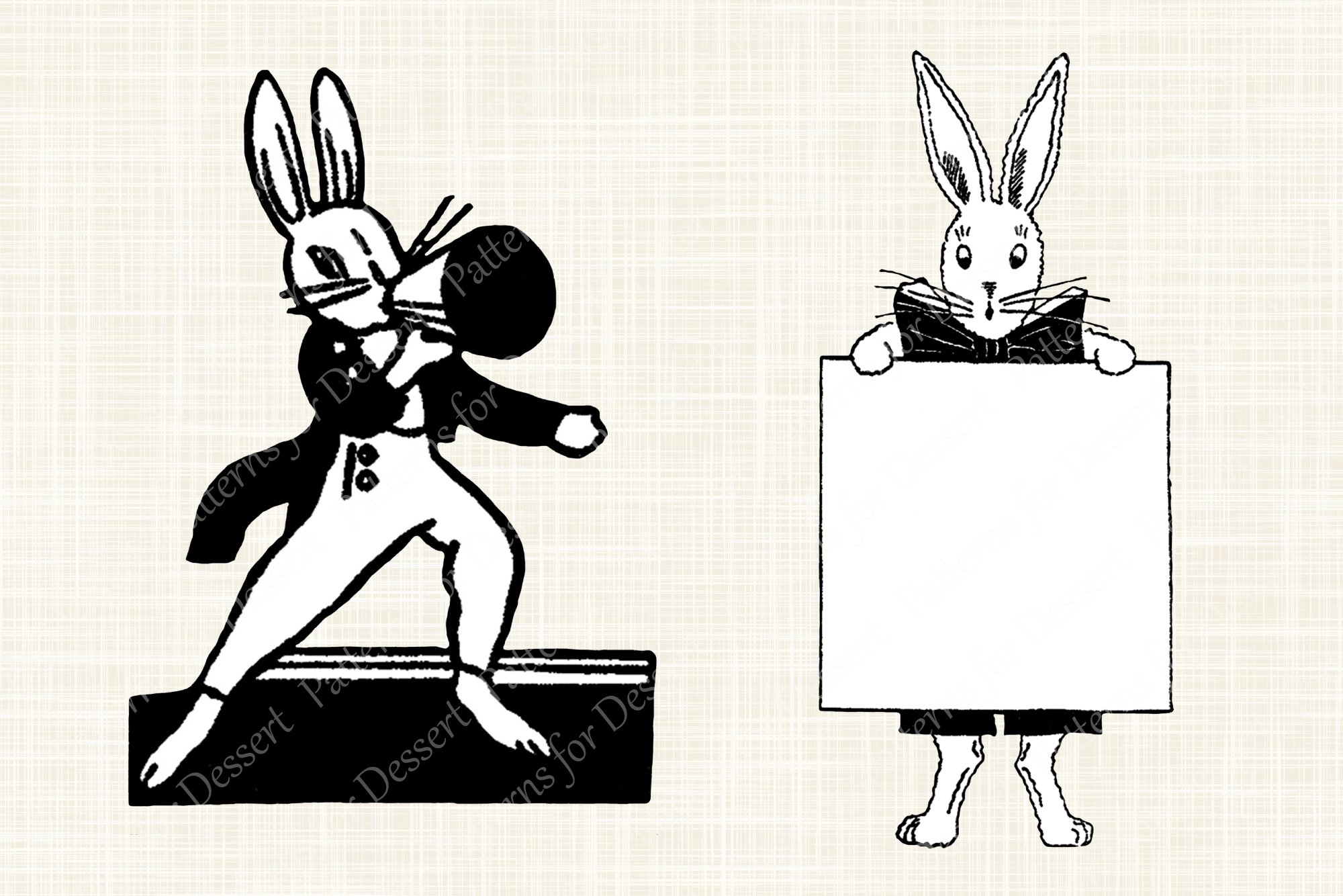 BW illustration with funny rabbits.