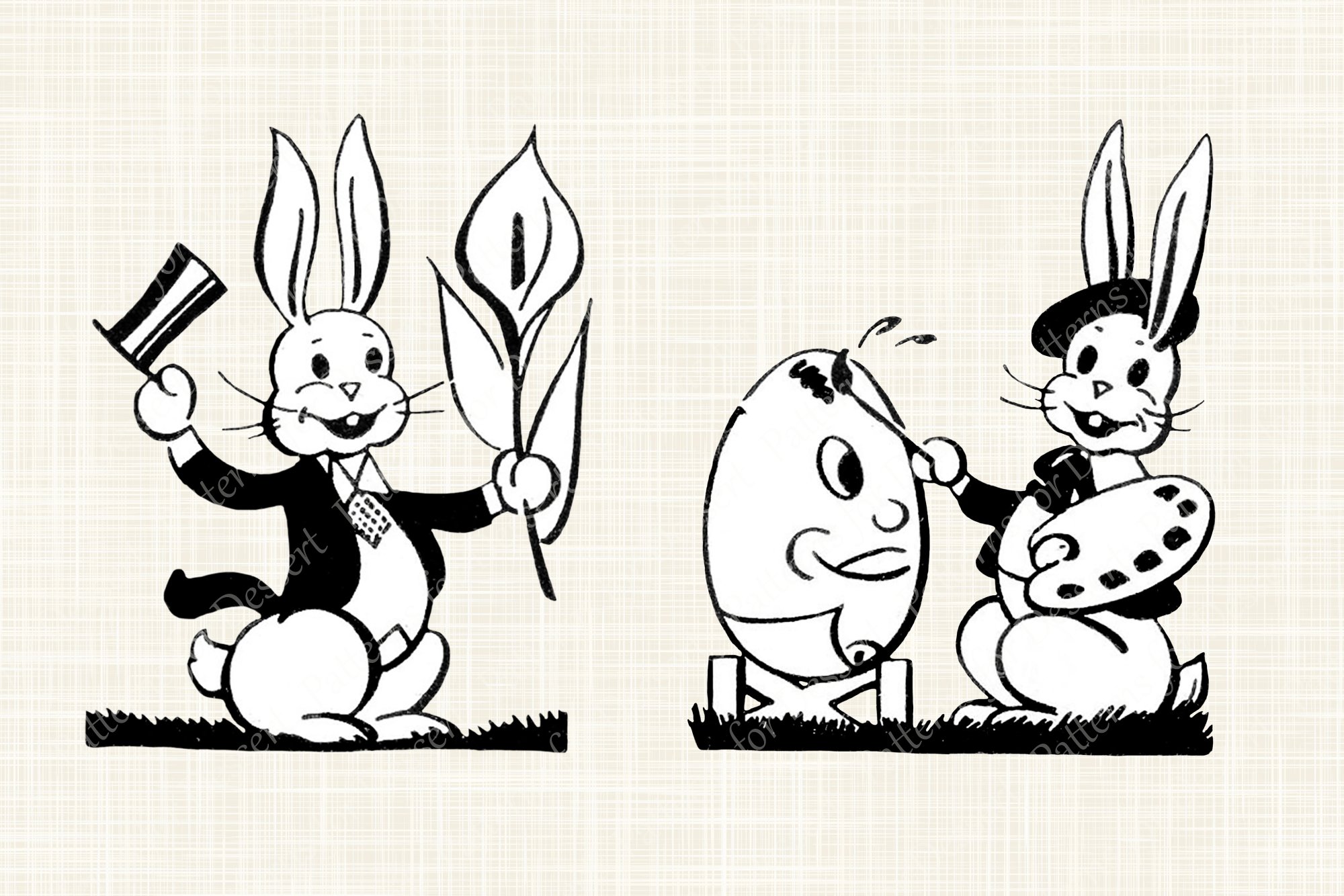 Cool funny rabbits in a BW.