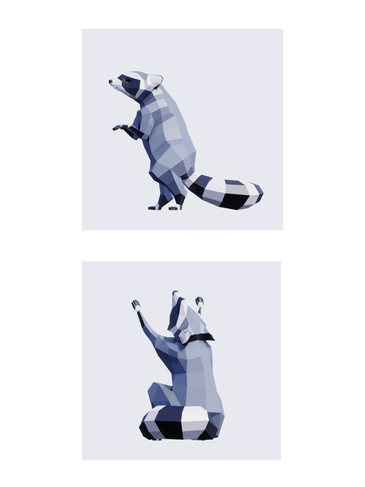 Racoon pinterest image preview.