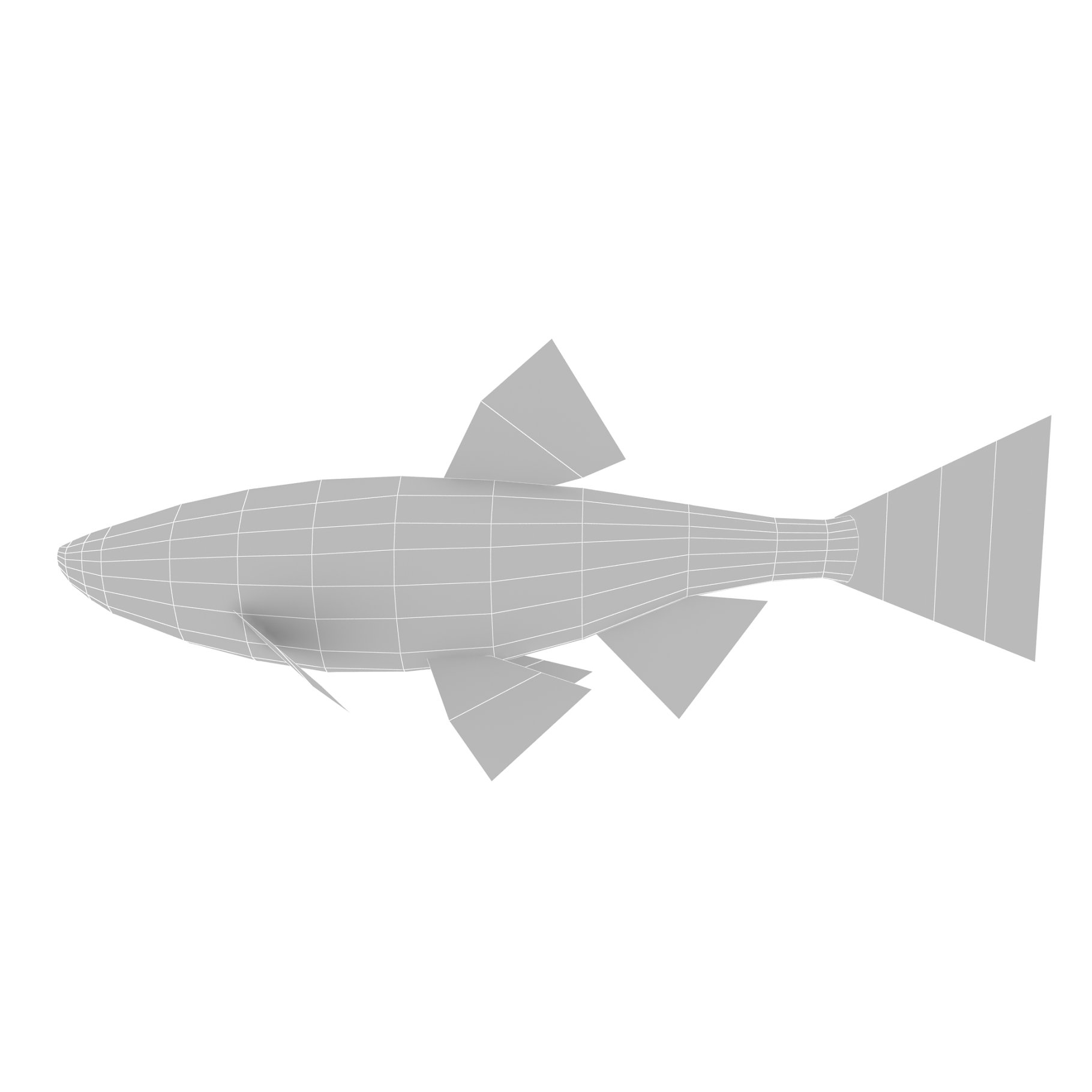 Graphic gray fish mockup on the left side,
