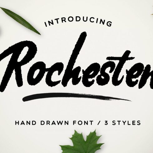 Gorgeous Rochesten font cover.