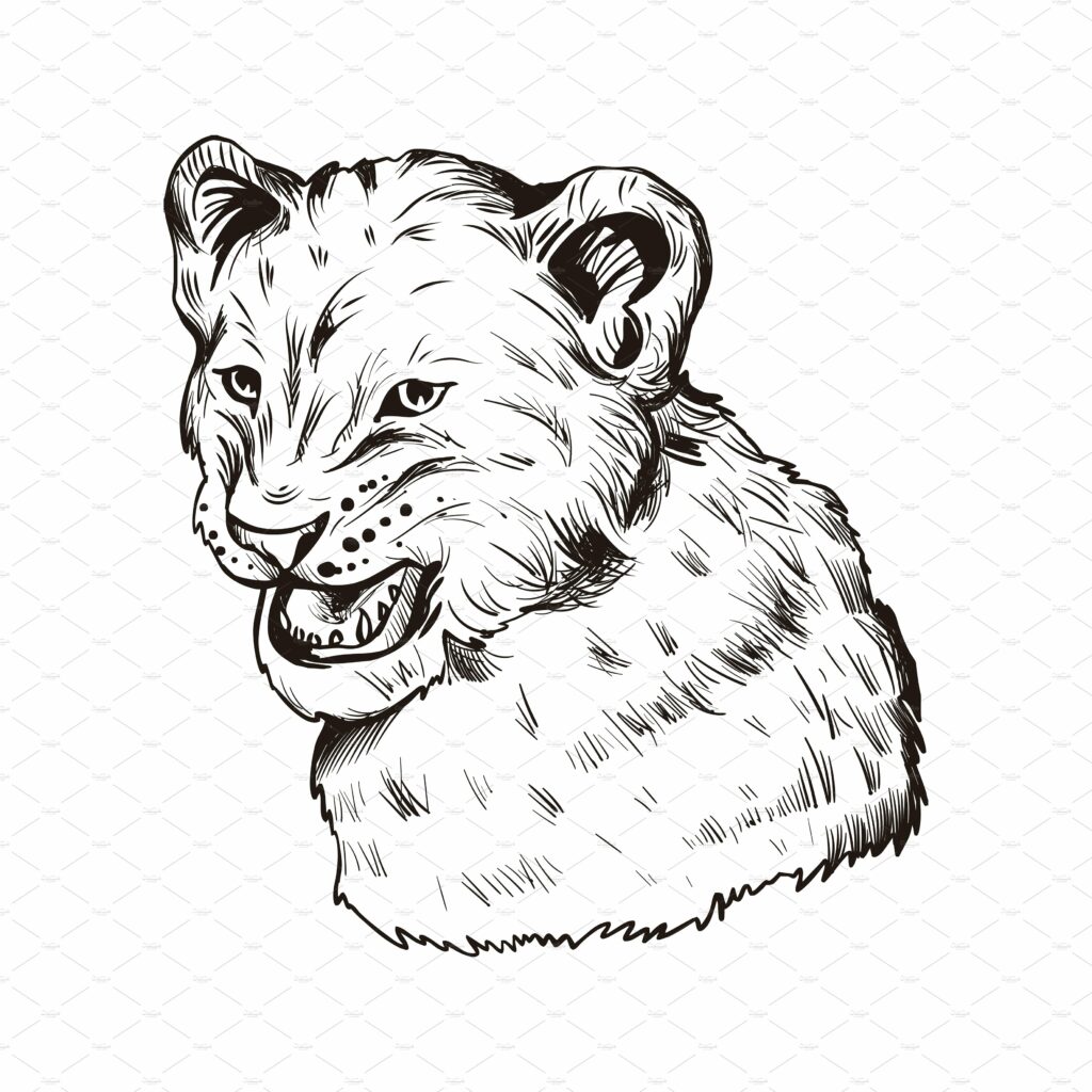 Big Cats. 30 Wild Animals 15 Species – MasterBundles