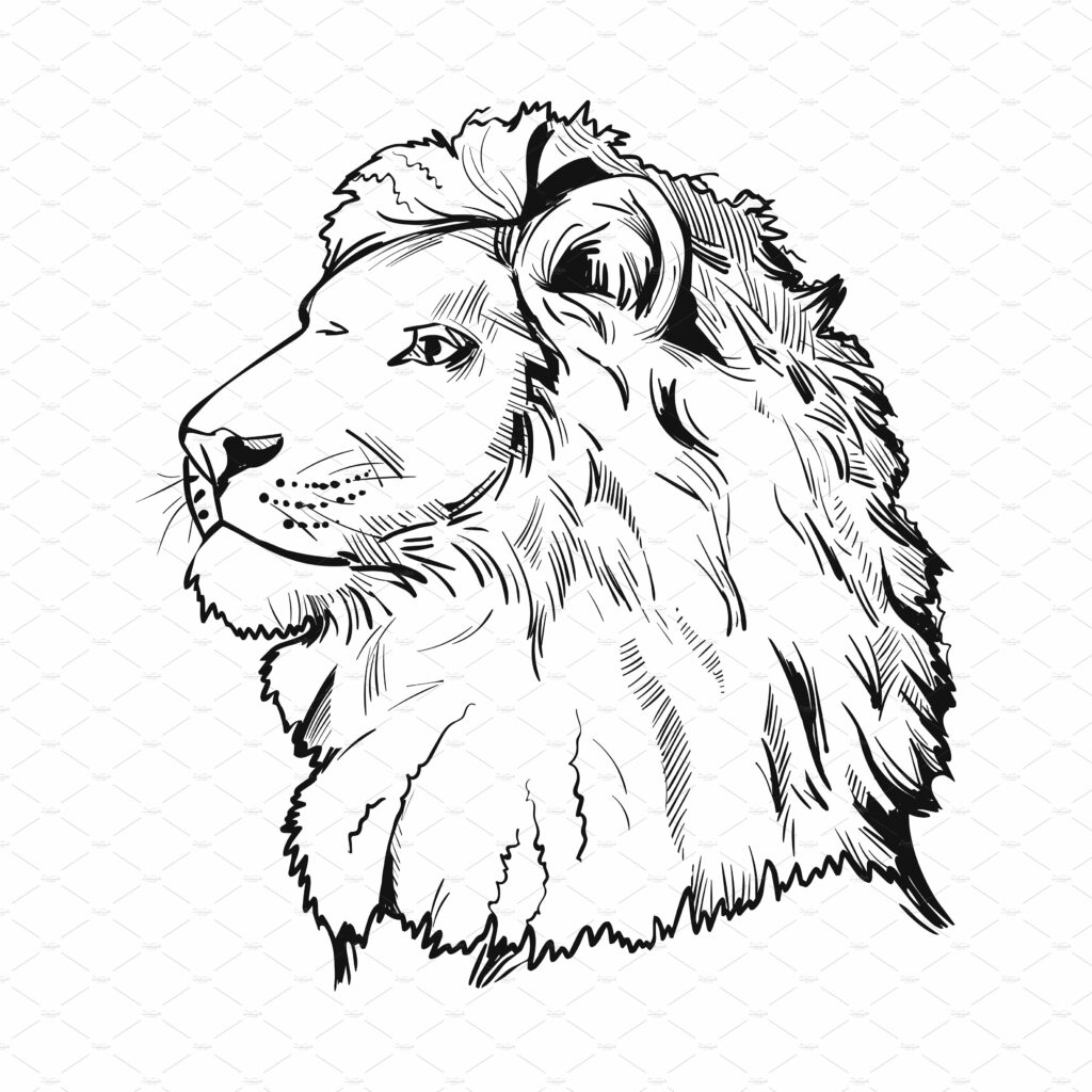 Big Cats. 30 Wild Animals 15 Species – MasterBundles