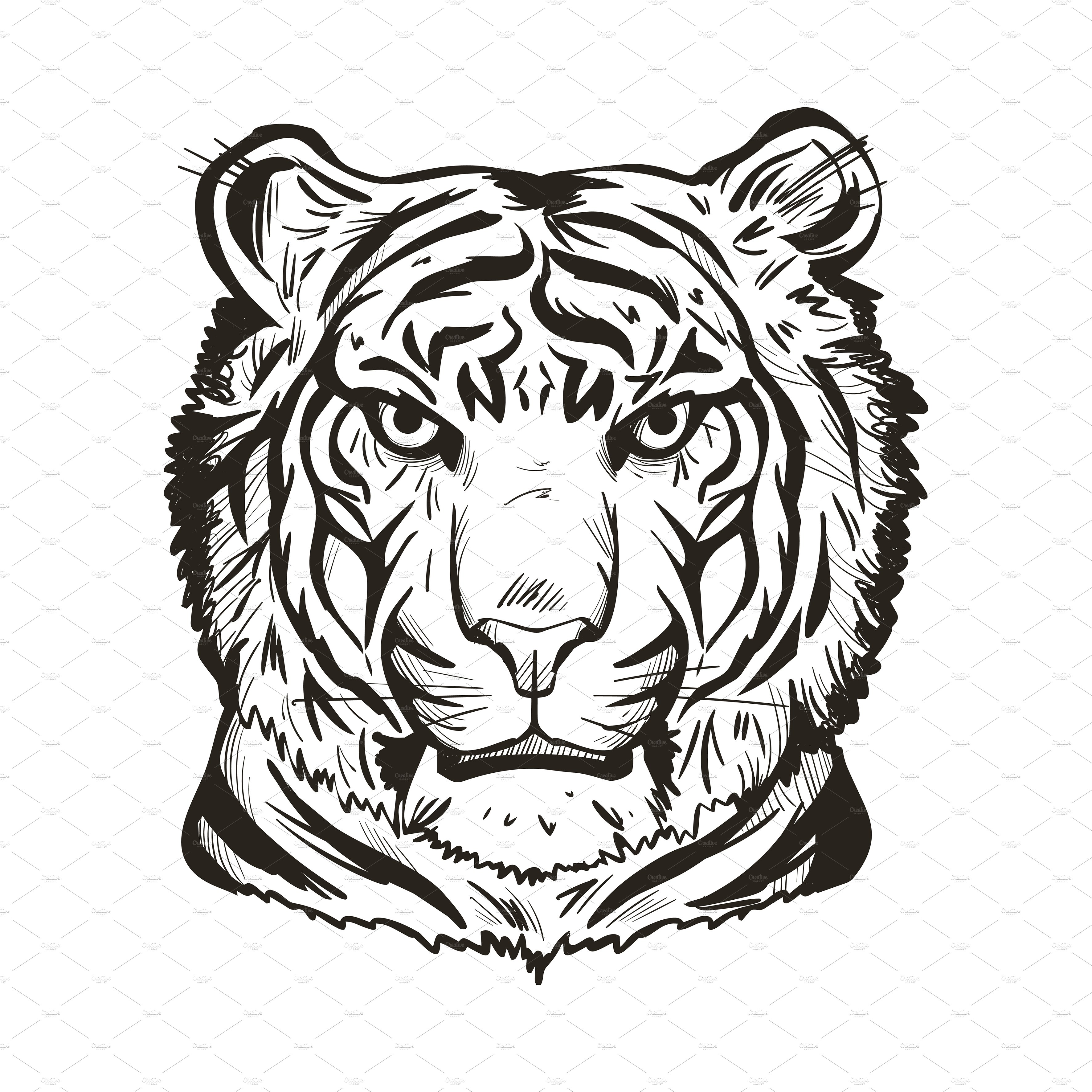 Strong sketch tiger.