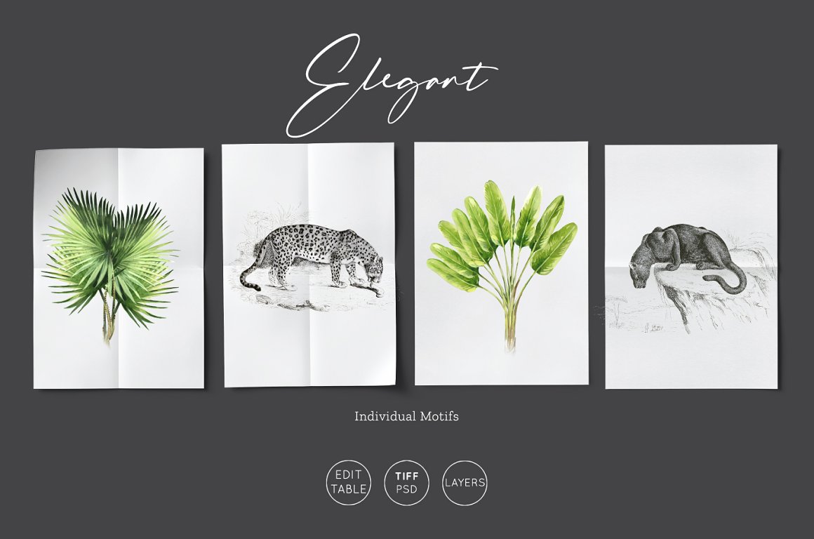 4 white elegant cards with illustrations of animals and plants on a dark gray background.