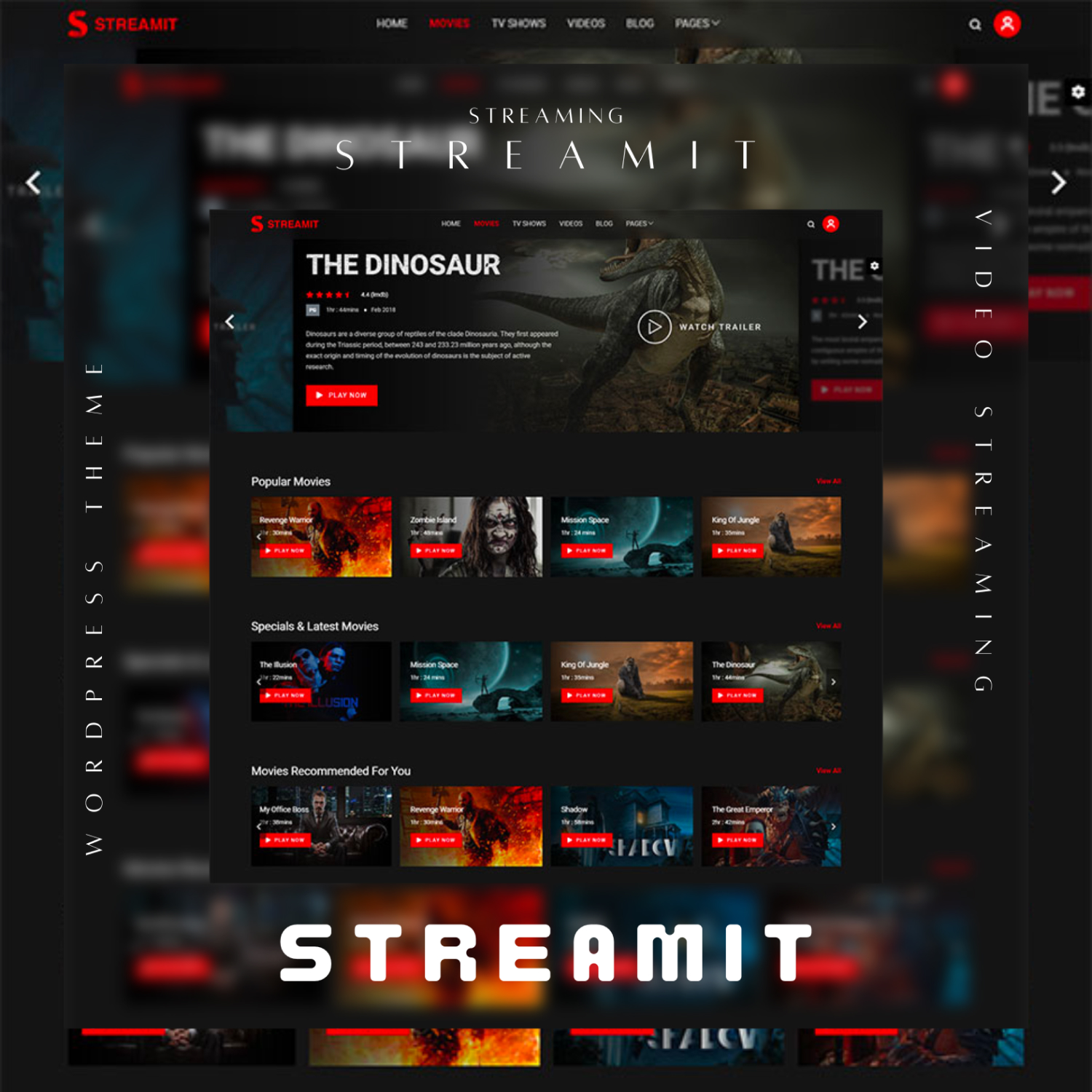 Page image of the great Streamit theme for video streaming sites.