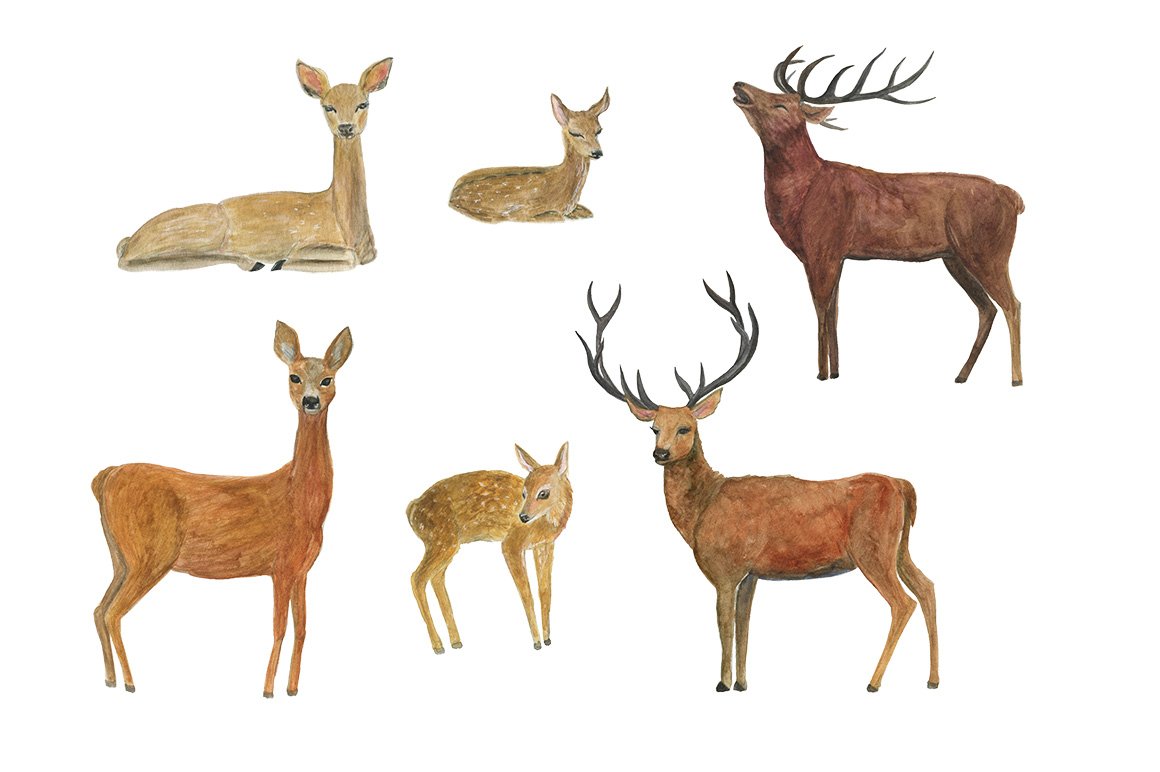 Watercolor pastel deers.
