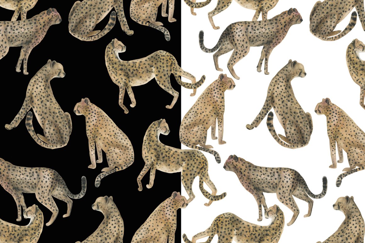 Illustrations of a leopard on a black and white background.