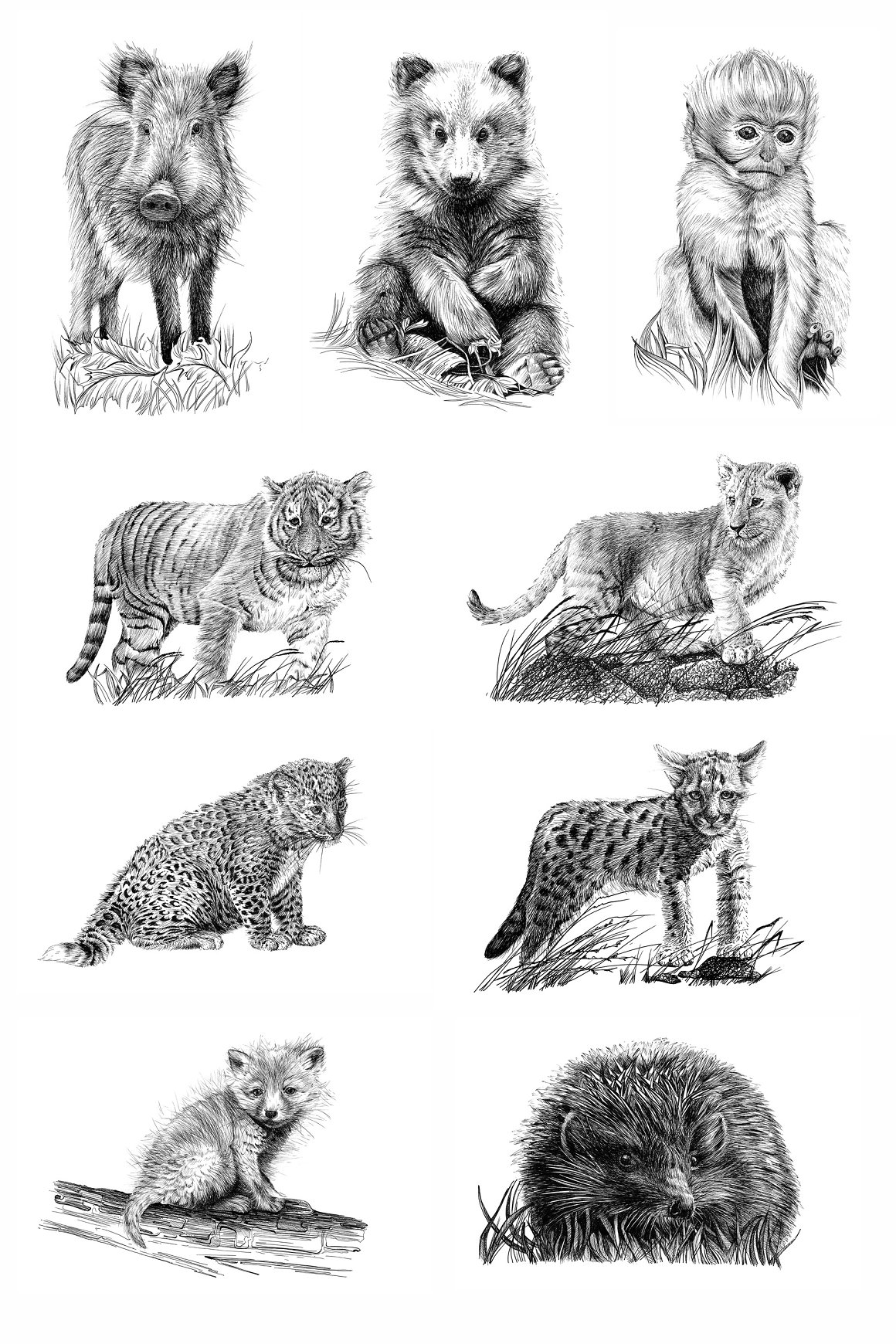 A set of 9 different gray illustrations of baby animals on a white background.