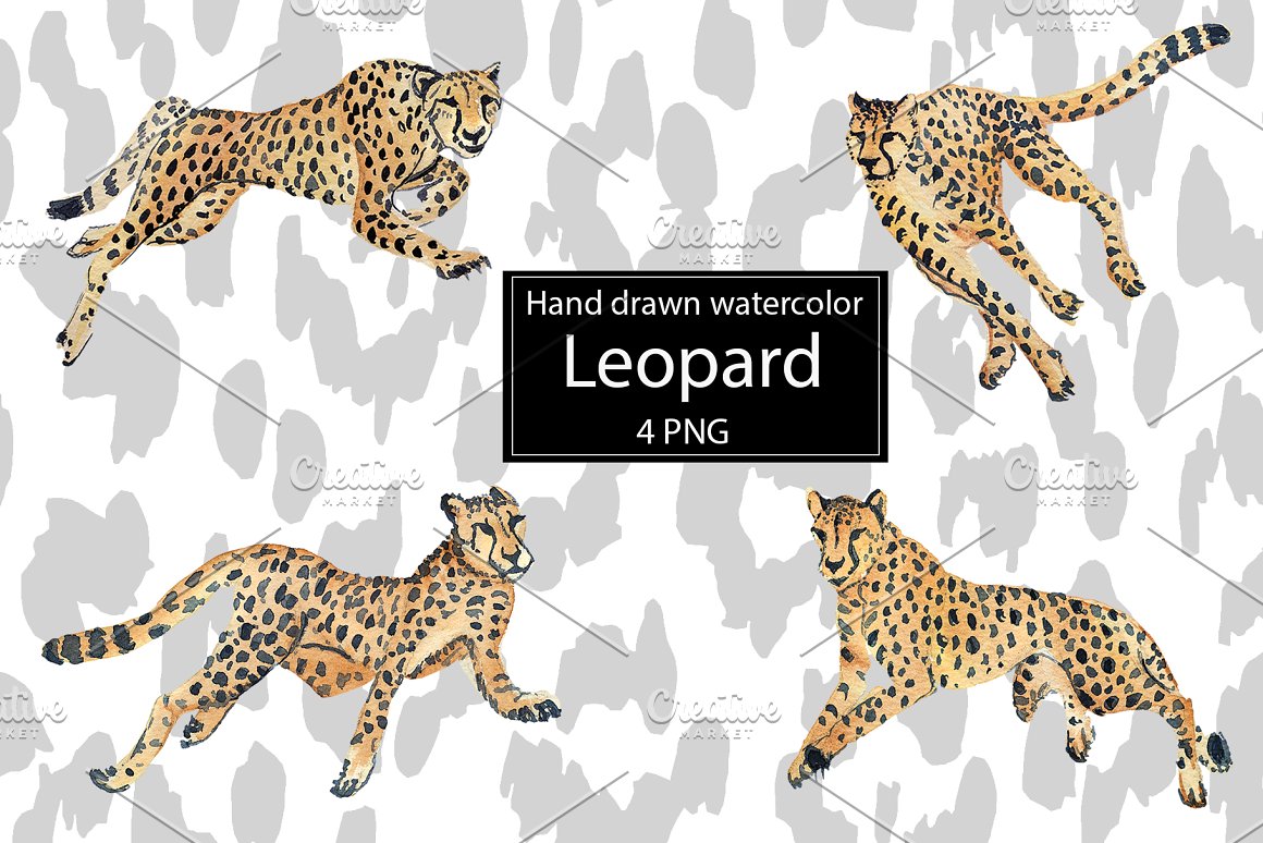 4 watercolor illustrations of a leopard on a white and gray background.