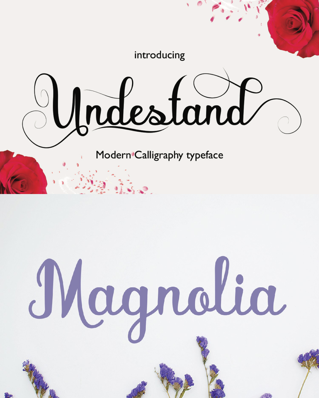 Undestand font pinterest image preview.