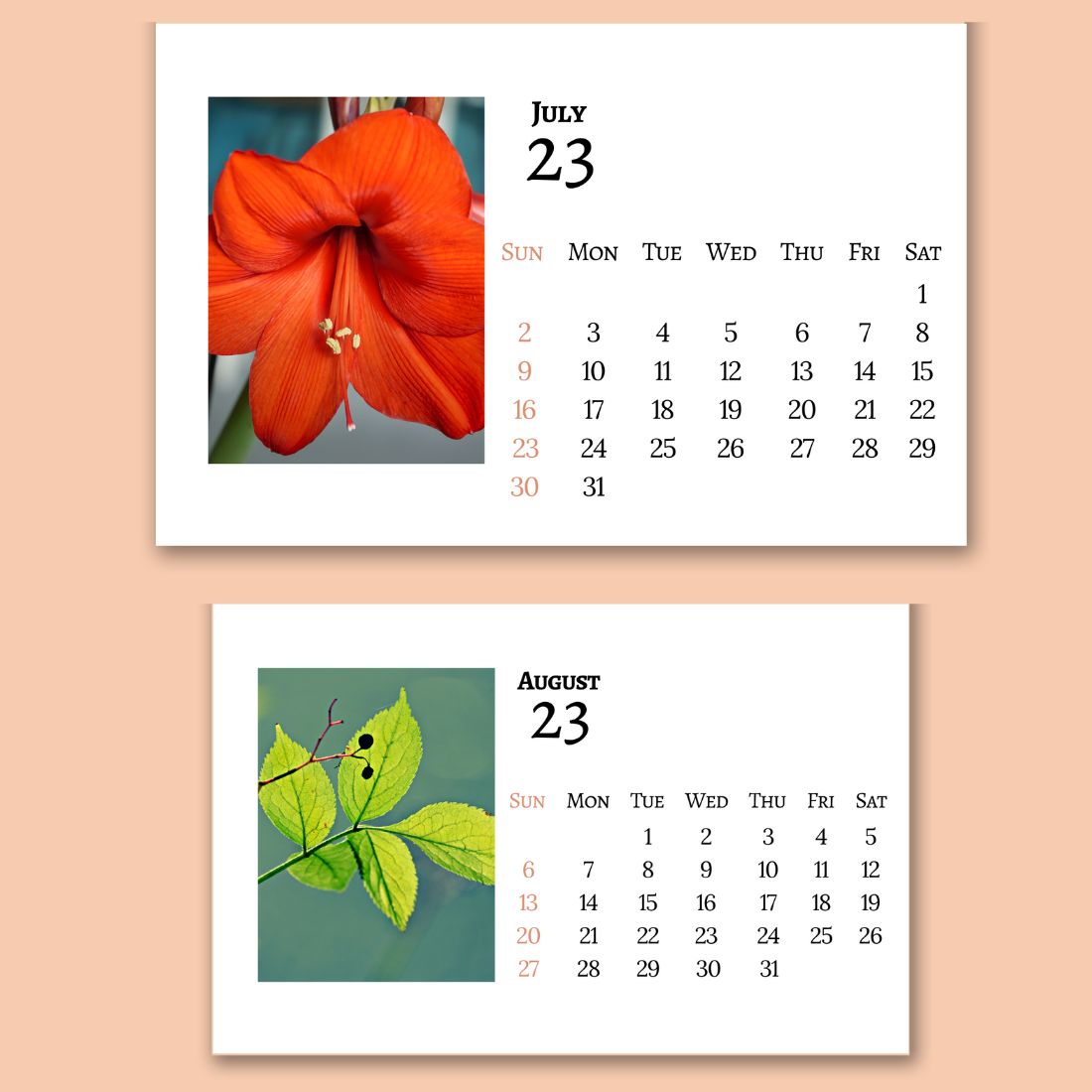 Desk Calendar Printable Horizontal preview image.