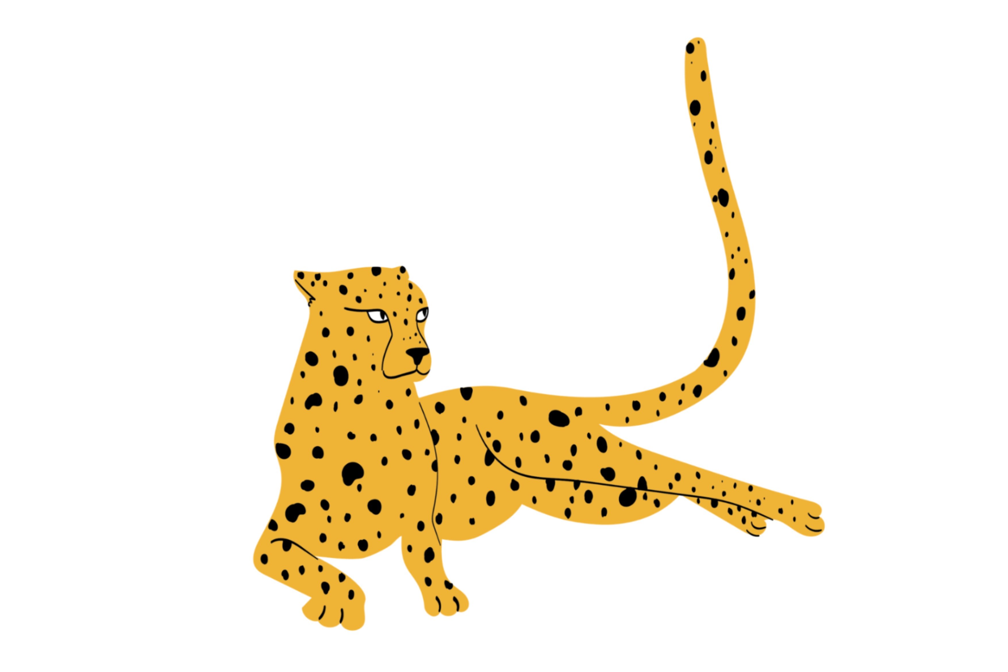 So proud cheetah on a floor.