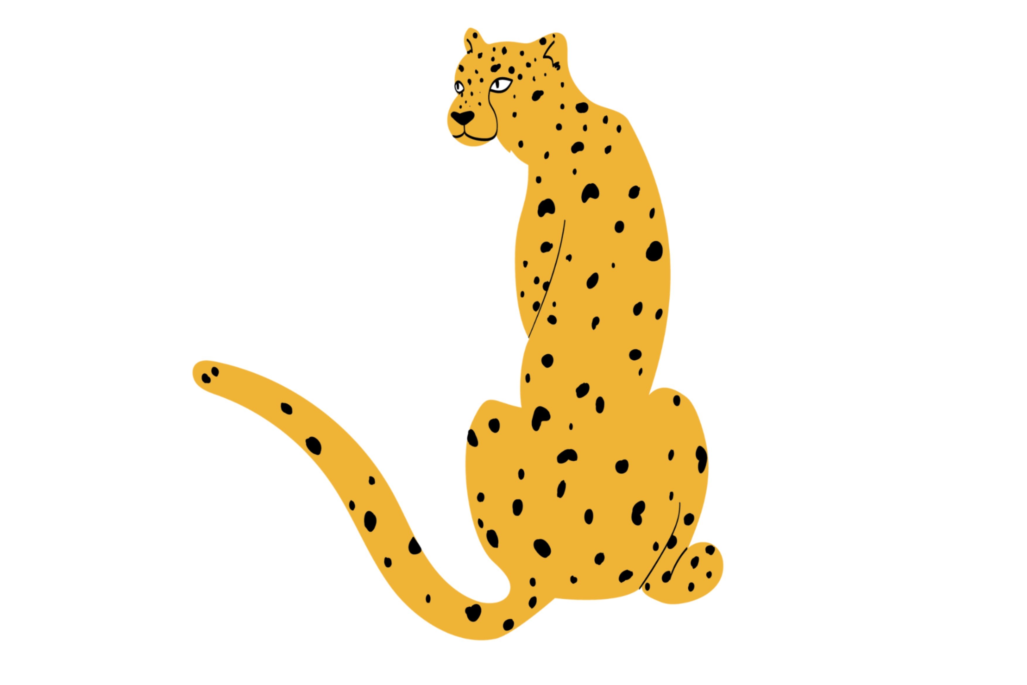 Elegant orange cheetah.