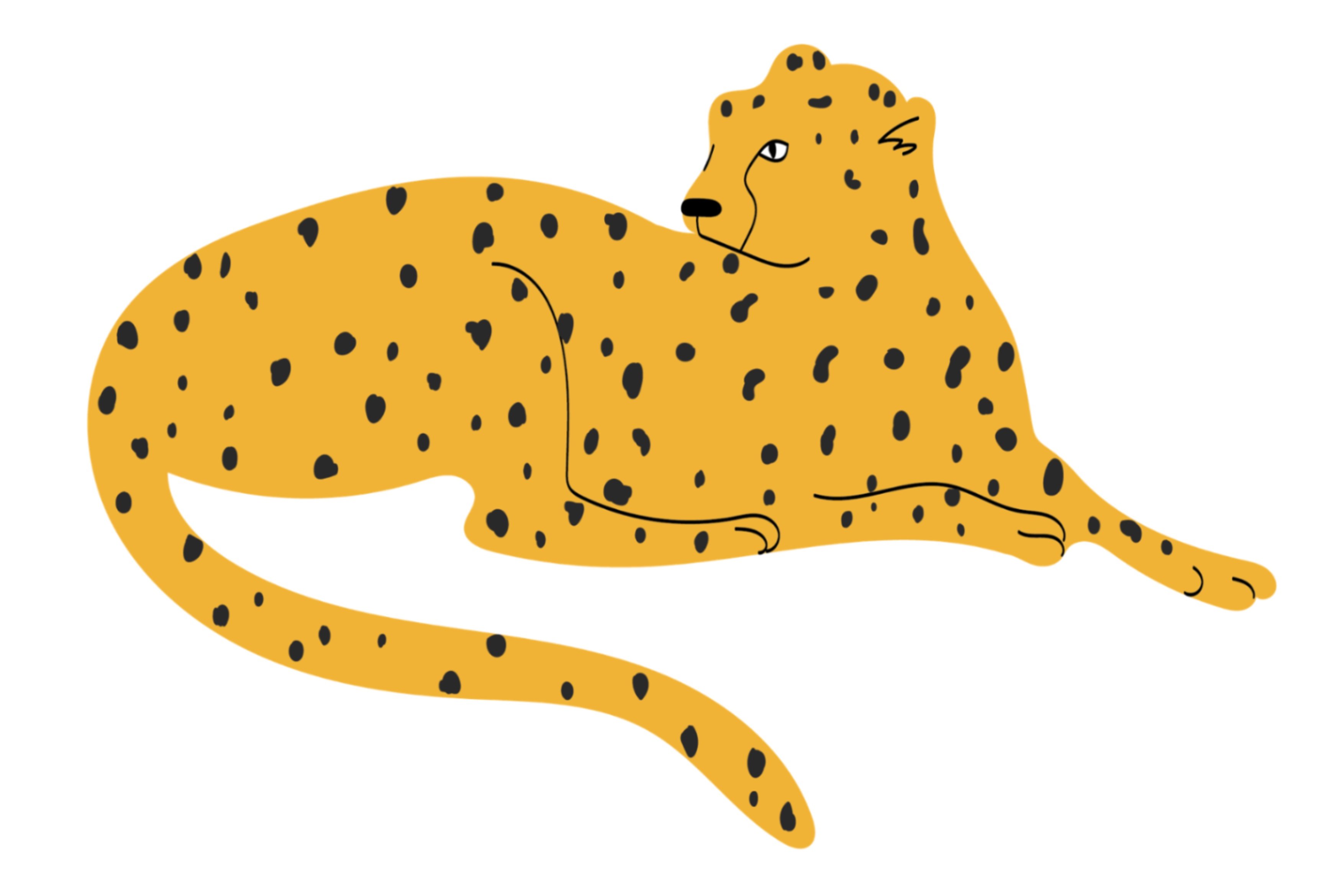 Calm orange cheetah.