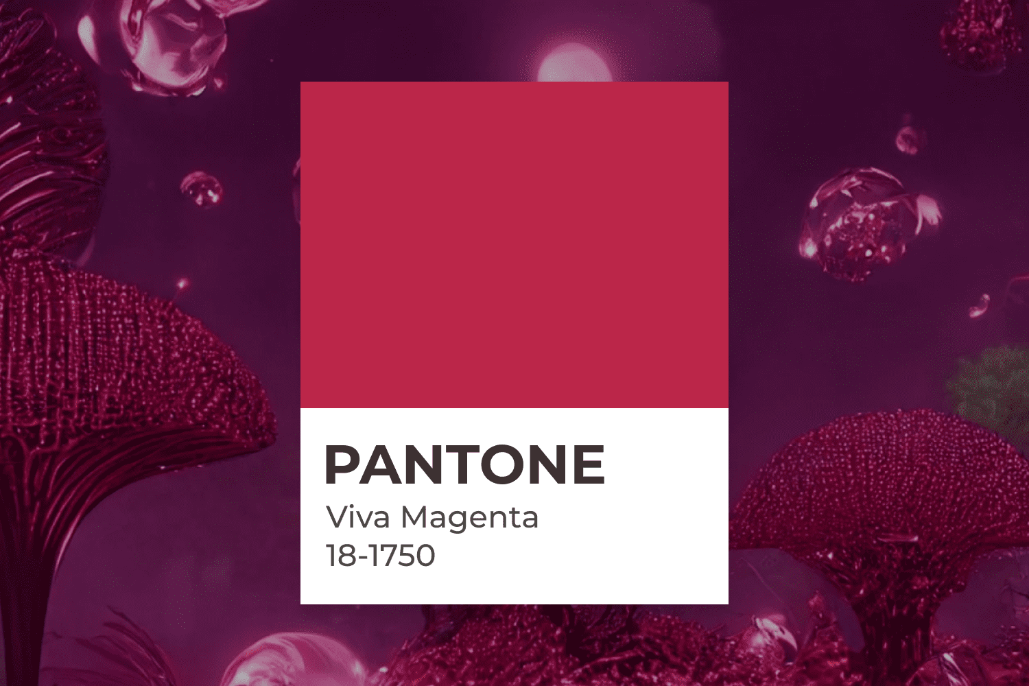 Viva magenta color on a background of burgundy mushrooms.