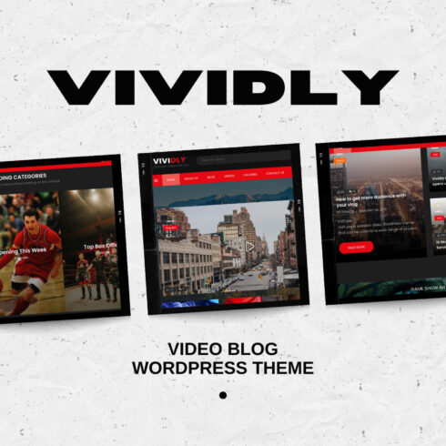 A selection of amazing pages Vividly themes for WordPress.