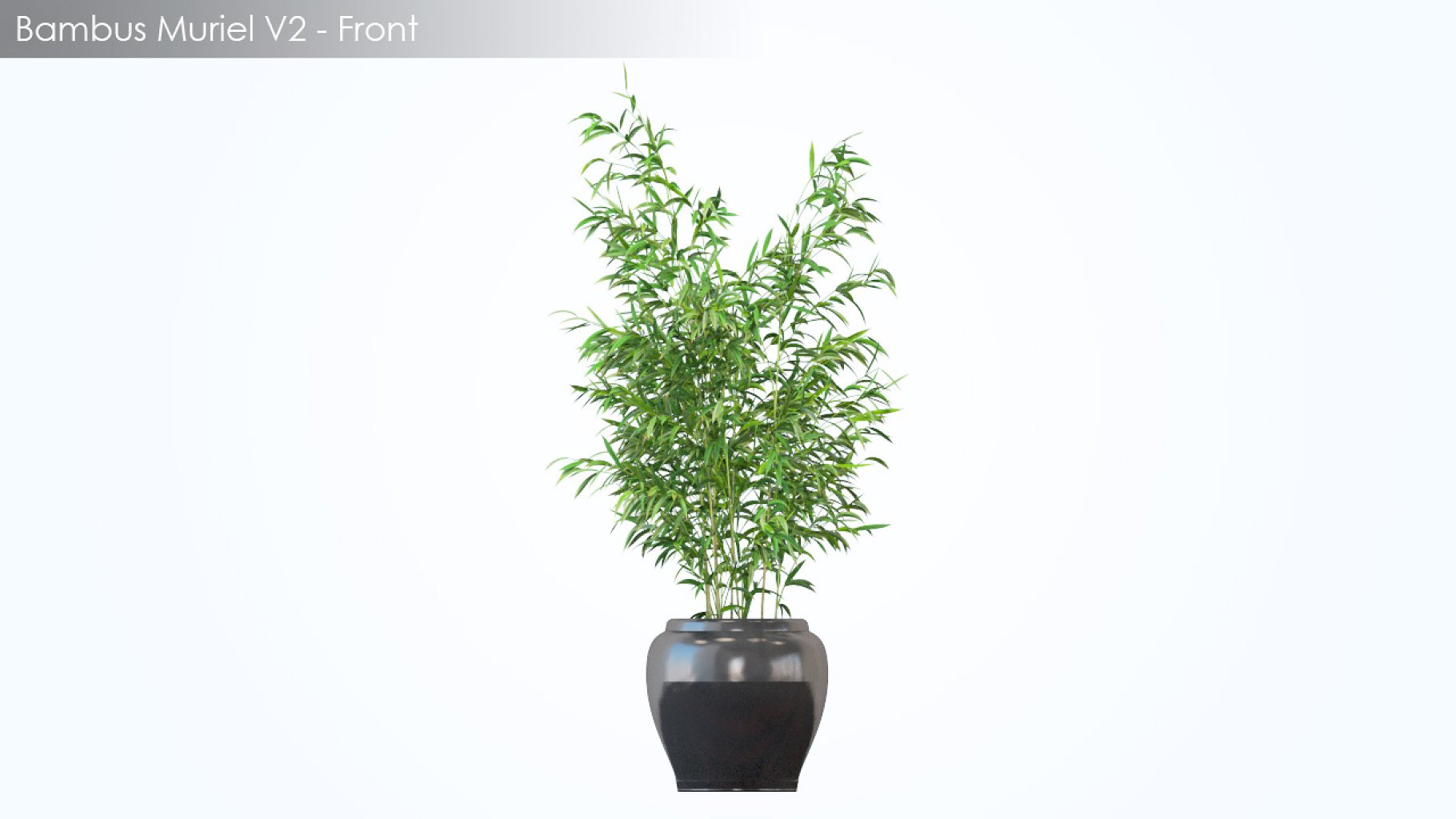 Rendering of a colorful 3d model of an oval gray flowerpot with a plant on a white background