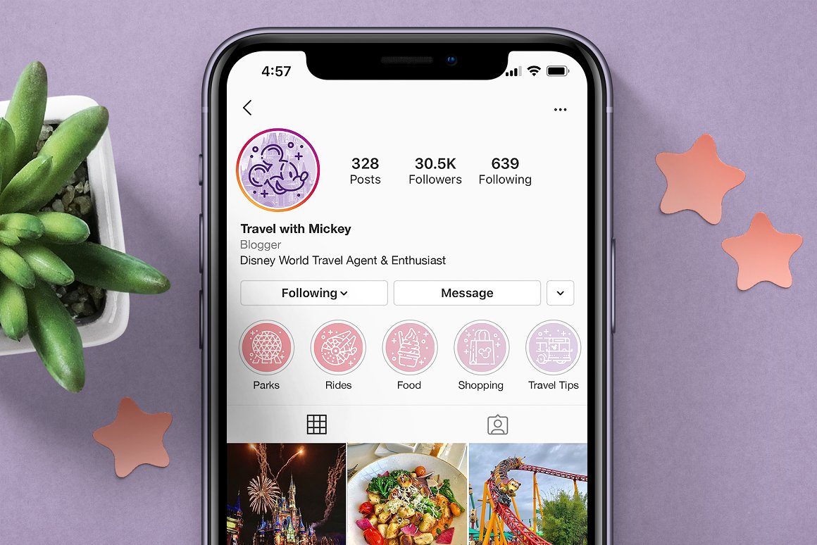 Page on Instagram Mickey's Kingdom on the mockup of iphone.