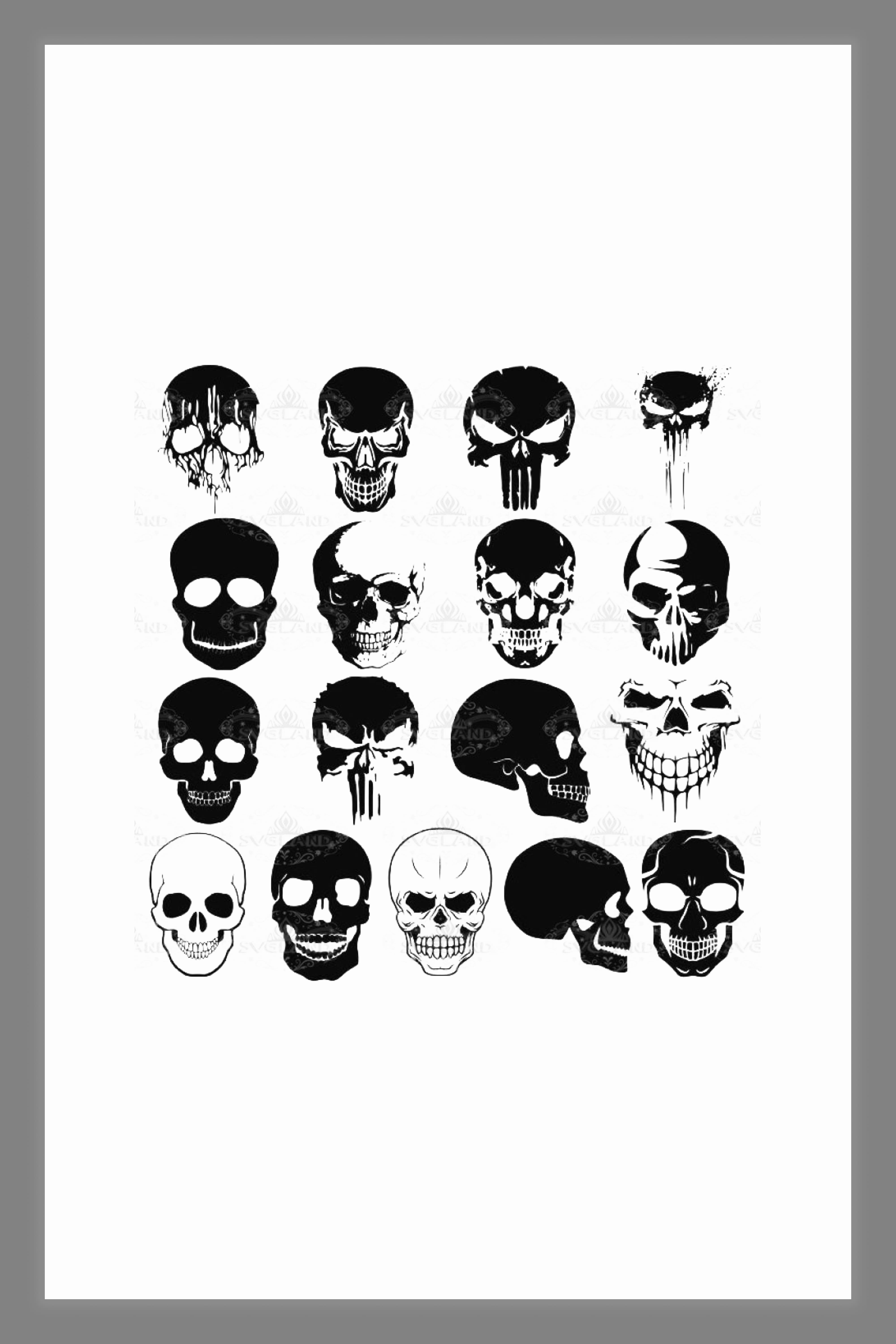 Collage of various skull images.