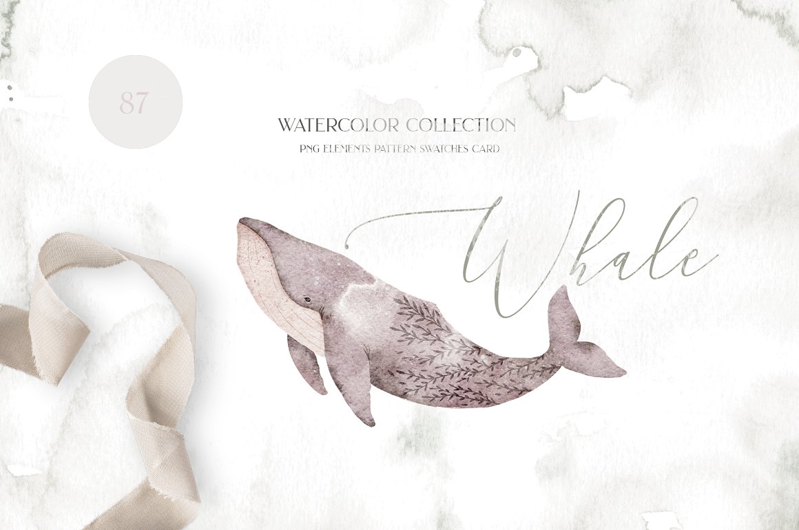 Cover with gray lettering "Whale" and illustration of whale on a watercolor background.