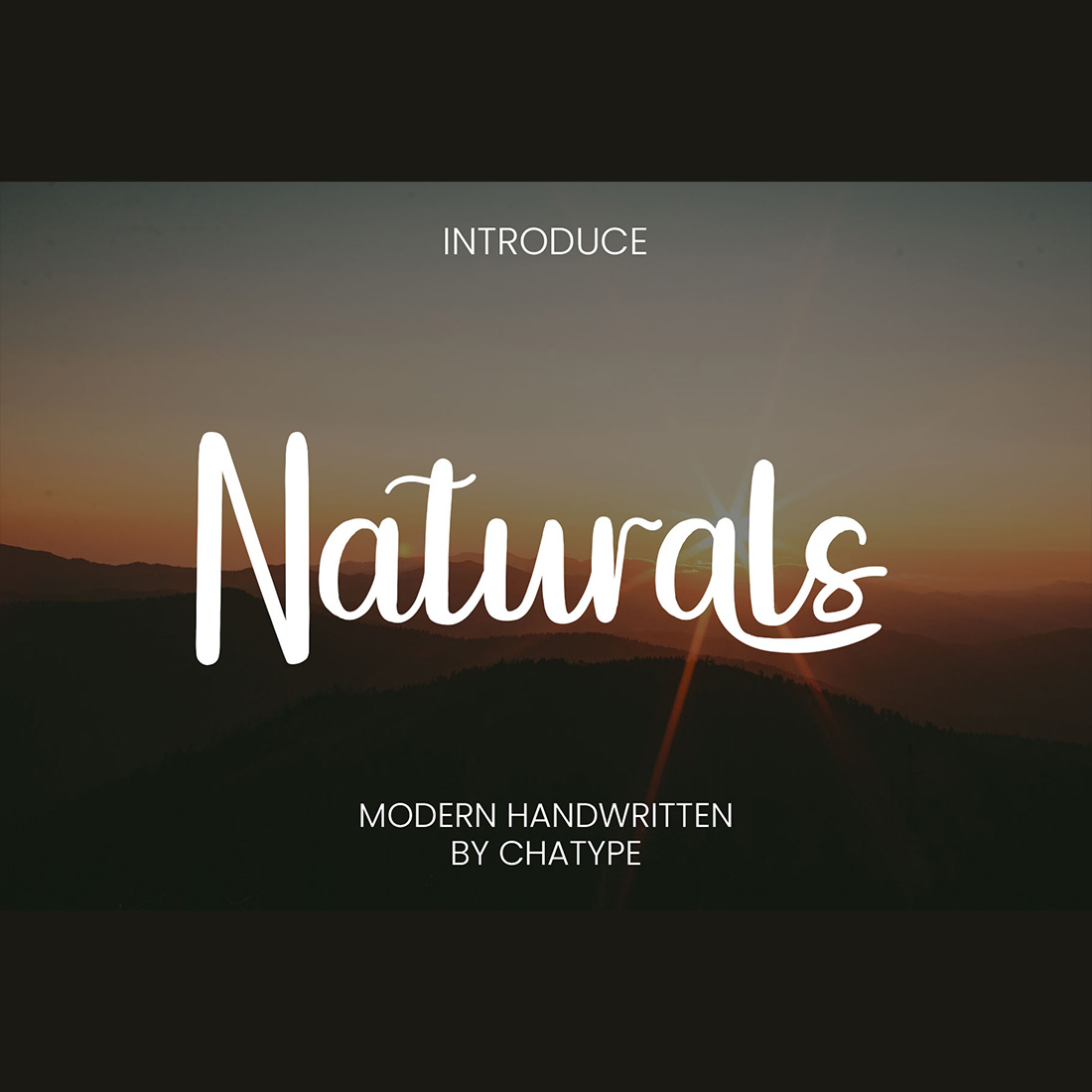 Naturals Font main cover