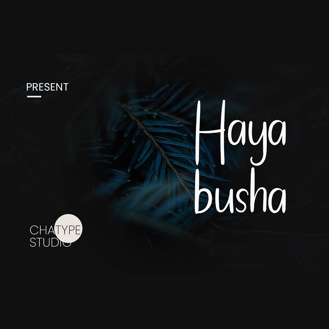 Hayabusha Font main cover