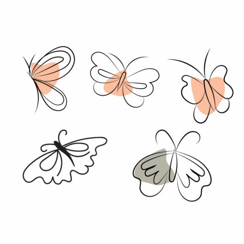 Butterfly Line Art.