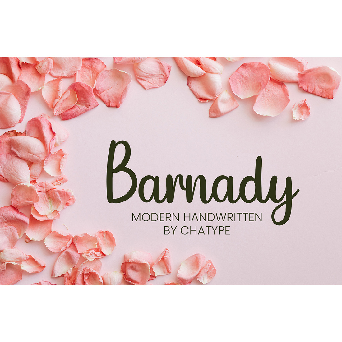 Barnady Script Font main cover.