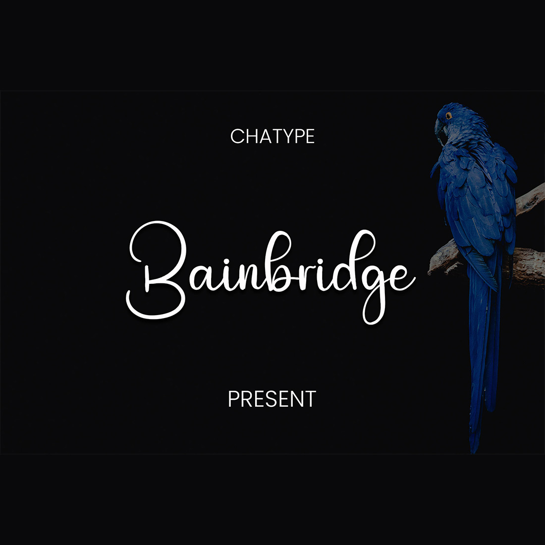 Charming Bainbridge font cover