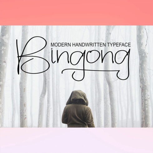 Bingong Handwritten Font image cover.