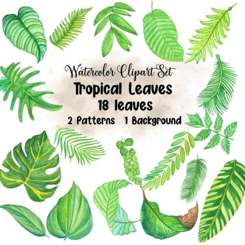 Watercolor Tropical Leaves Set main cover.