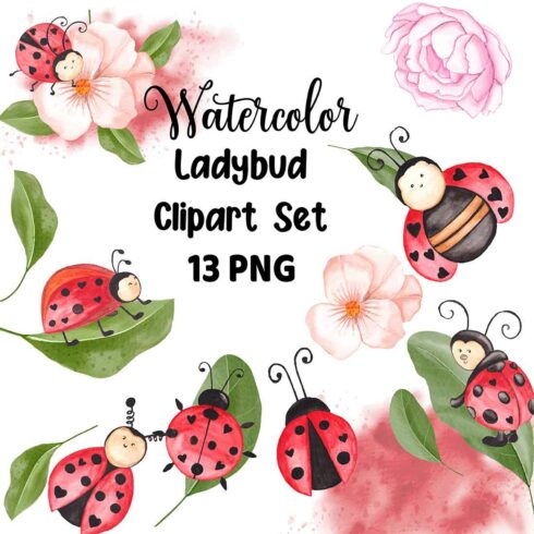 Set of gorgeous watercolor images of ladybugs