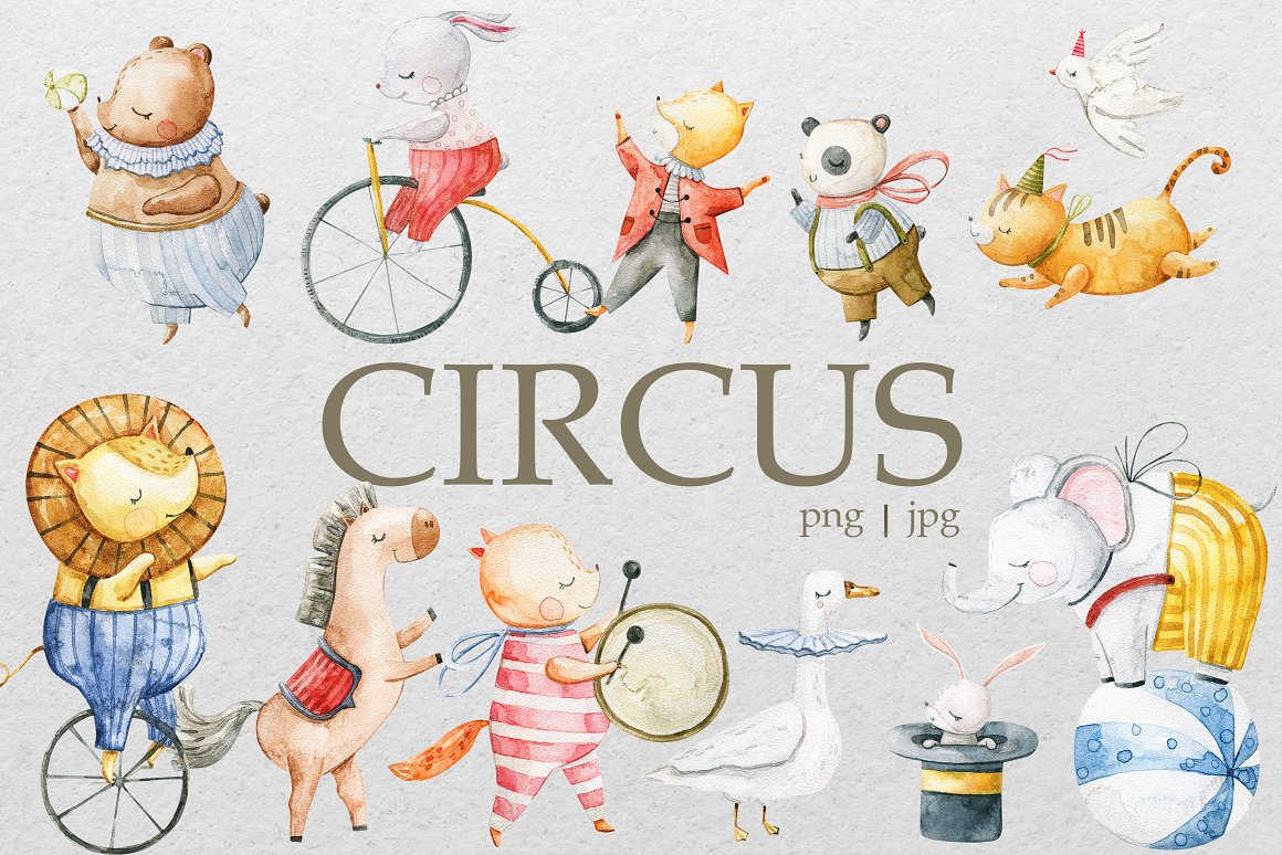 Cover with gray lettering "Circus" and different circus animals illustrations.
