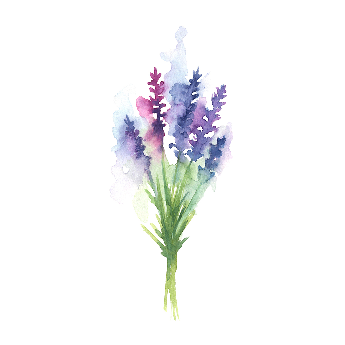 Watercolor Lavender. Collection Of Backgrounds And Illustrations image preview.