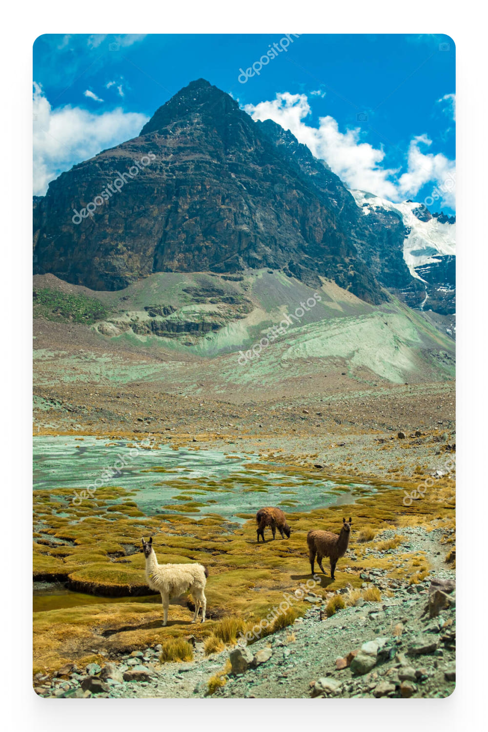 Photo of llamas by the lake in the mountains.