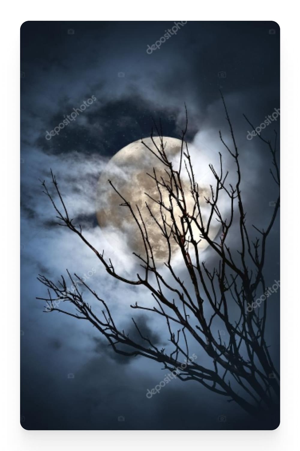 Photo of a full moon in the sky through the branches of a tree.