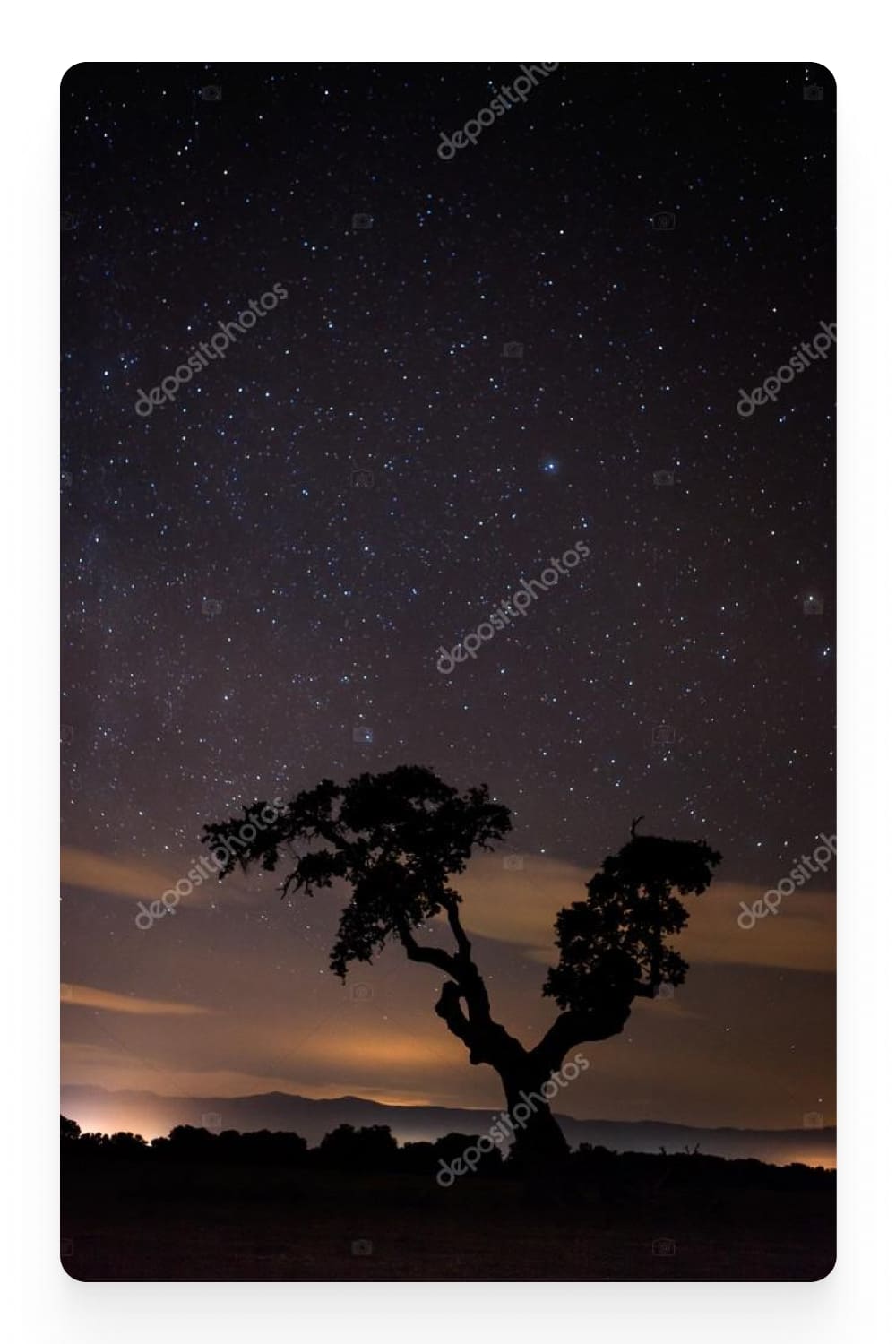 Photo of a tree against the background of a starry sky.