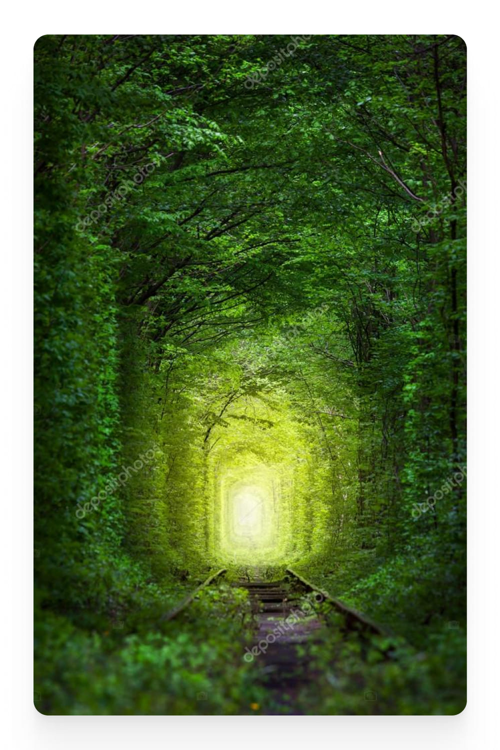 Photo of the green tunnel of love.