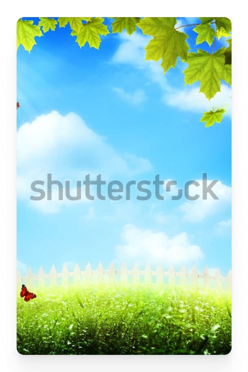 Photo of grass, white fence, sky with clouds and green maple leaves.