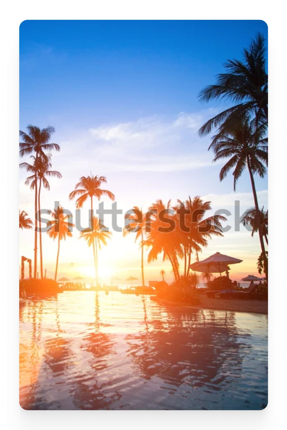 Photo of a swimming pool with palm trees and frontlight.