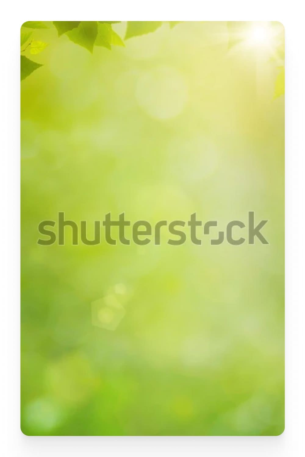 Photo of blurred green leaves.