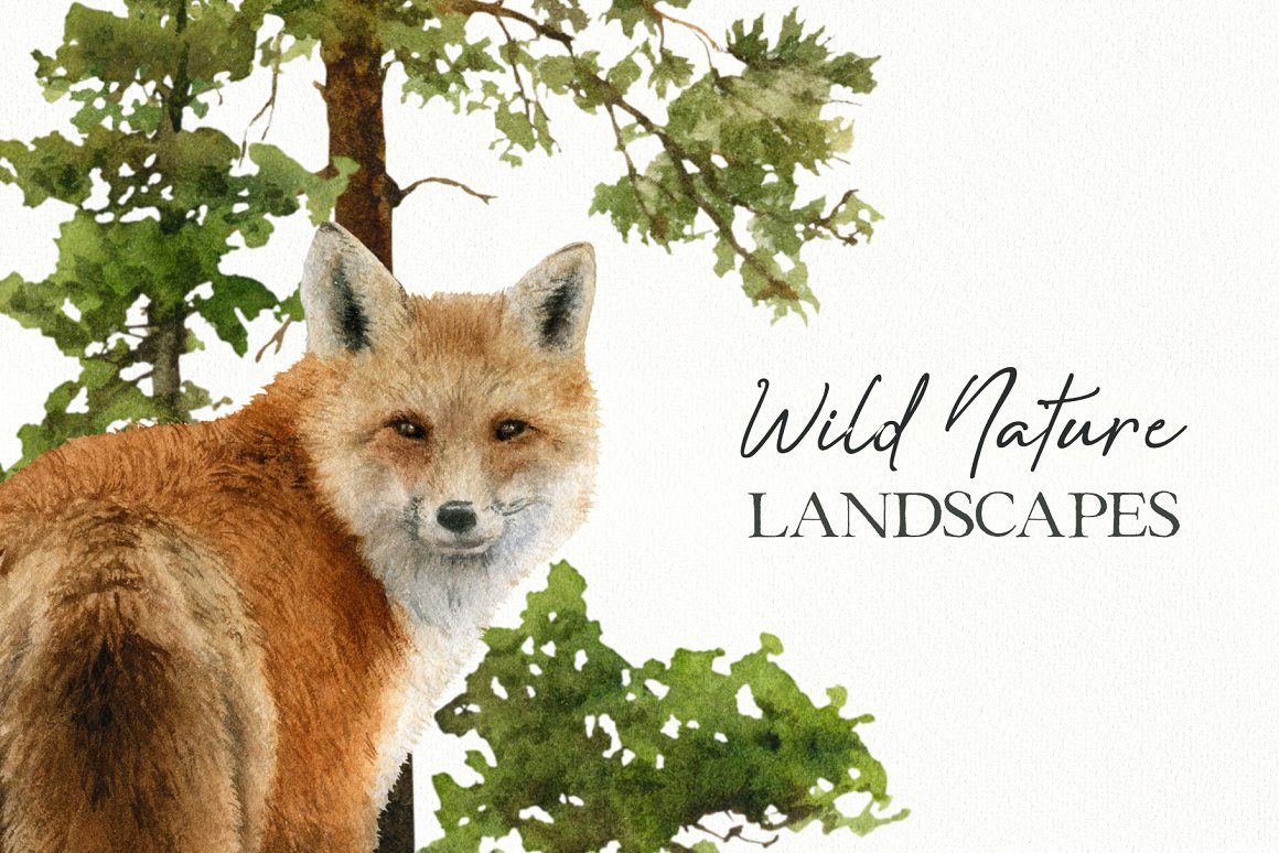 Black lettering "Wild Nature Landscapes" and illustration of a fox on a white background.