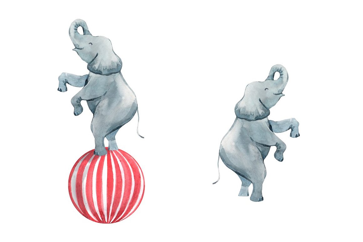 2 watercolor illustrations of circus elephant on a white background.