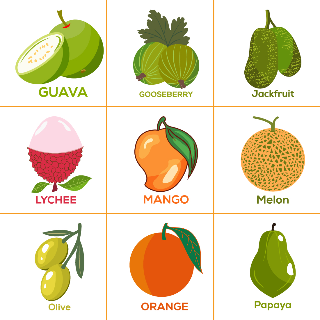 Set Of Fruits image preview.