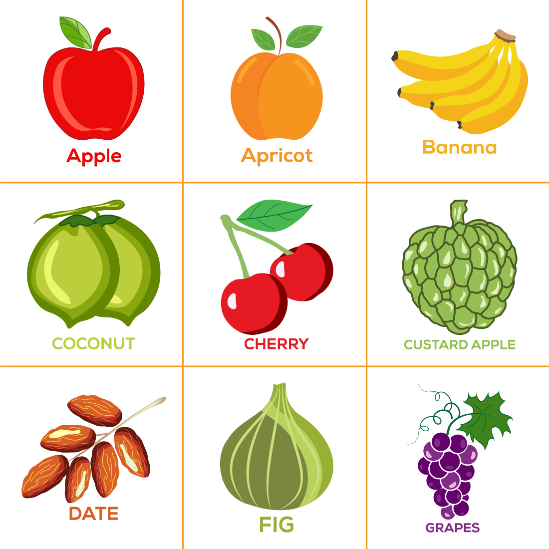 Set Of Fruits image preview.