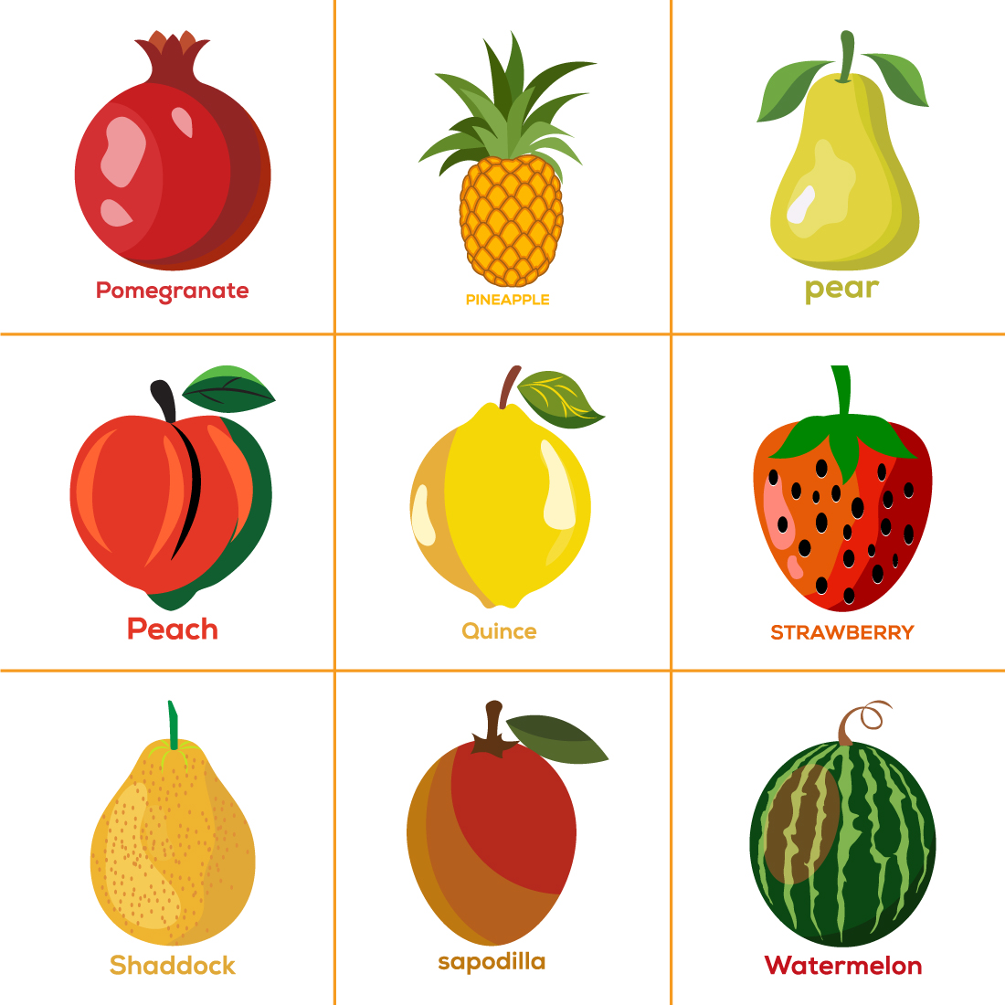 Set Of Fruits. Different Colorful Fruits image preview.